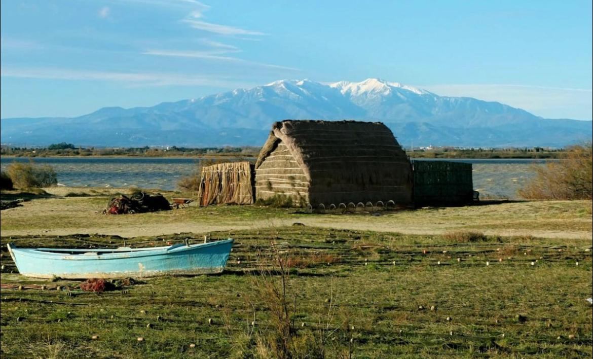 A 200M De La Mer Super Logement Cocoon Canet-en-Roussillon Kültér fotó